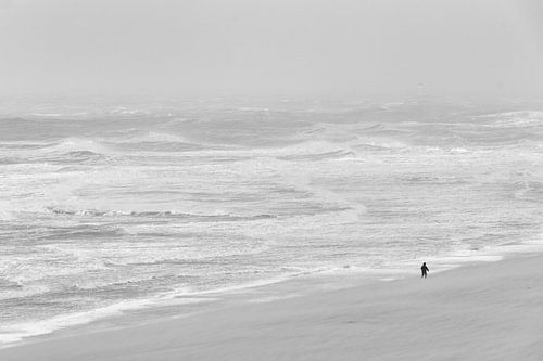 Une journée venteuse à la plage
