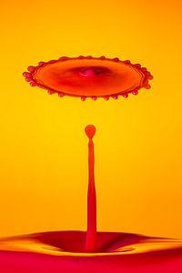 Oranje druppel splash (langwerpig)