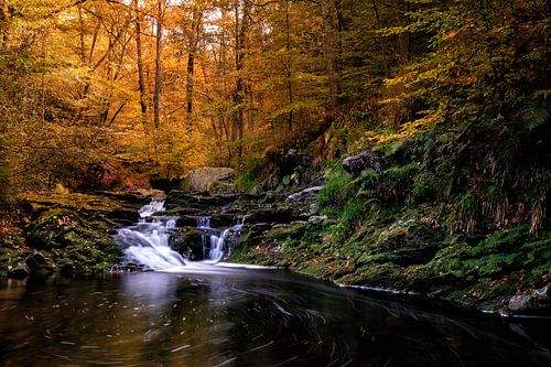 Autumn colors