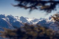 Blick auf die Ostalpen in der Nähe von Saalbach-Hinterglemm von Shanti Hesse Miniaturansicht