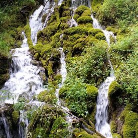 Johan Moerkerken profielfoto