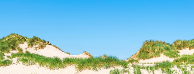 Panorama von Sanddünen mit Dünengras in Meeresnähe an einem Sommertag. von Sjoerd van der Wal Fotografie