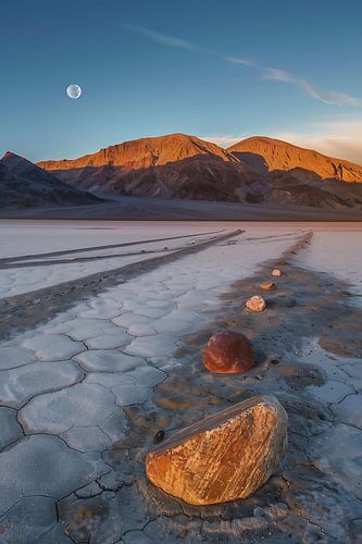 Nachtlandschap in het maanlicht