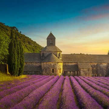 Die Abtei von Sénanque und Lavendelblüten. Frankreich von Stefano Orazzini
