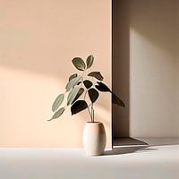 Planter dans un vase en plein soleil d'été