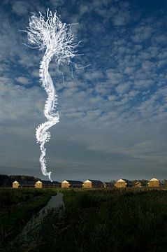 Zeedieren (borstelworm) in de lucht - combinatie van een foto met illustratie van wit krijt van Irene Cecile