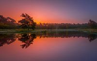Sunrise in autumn ...