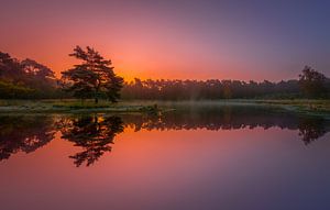 Sonnenaufgang im Herbst ... von Marc de IJk
