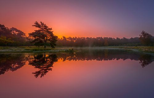 Sonnenaufgang im Herbst ... von Marc de IJk