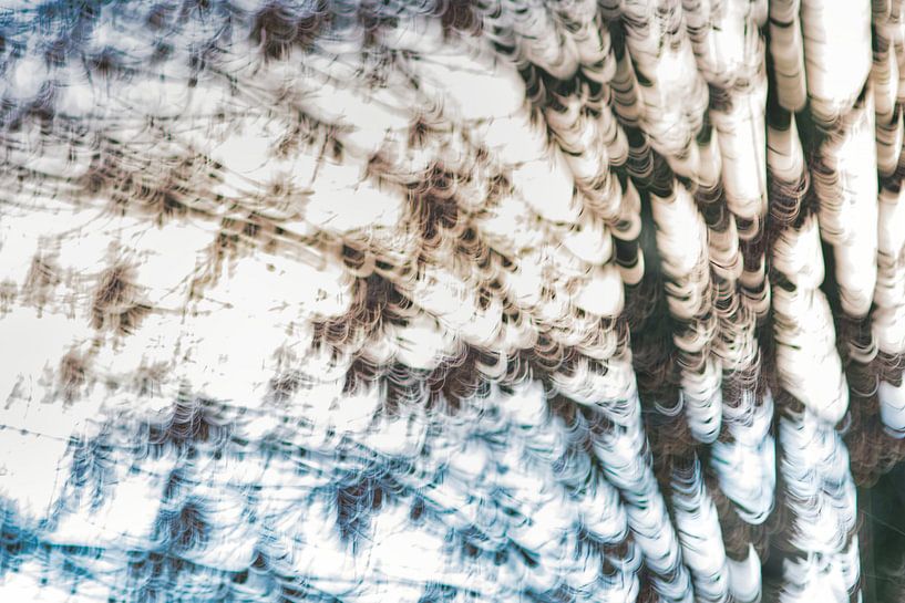 Les lignes de nuages distinctes dues à la photographie icm par Jolanda de Jong-Jansen