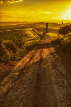 Toscaans Licht van Lars van de Goor
