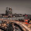 Rotterdam skyline Erasmusbrug van Marjolein van Middelkoop