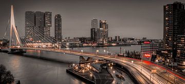 Rotterdam skyline Erasmusbrug van Marjolein van Middelkoop