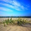 dunes by Ostsee Bilder