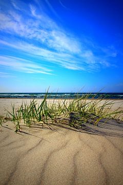 dunes van Ostsee Bilder