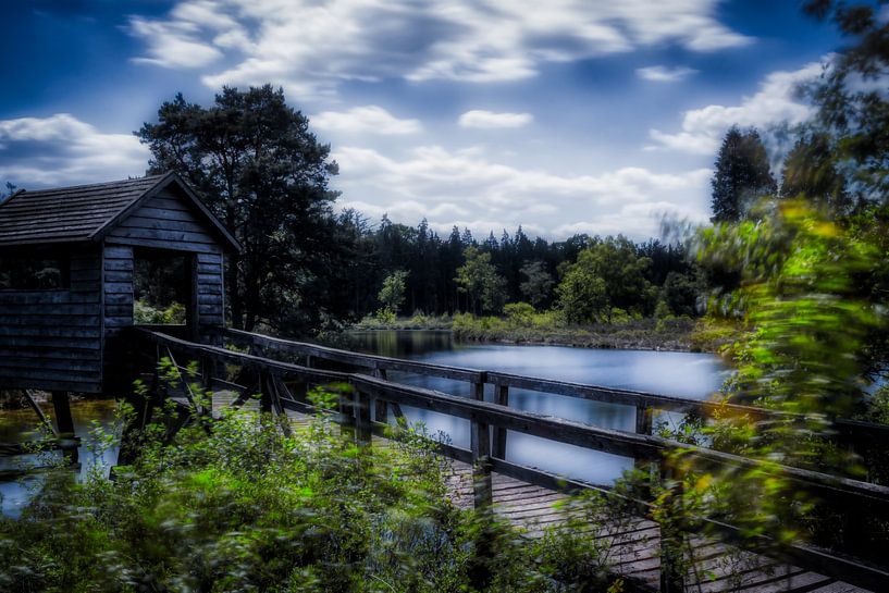 Le lac Mystique par Liberty Biesma