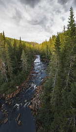 Moody dronefoto van de Fämtan rivier in de Fämtleden kloof bij Ambjörby, Värmland Zweden van Dylan Winter Visuals