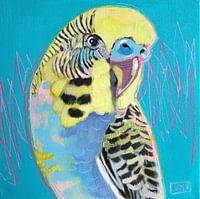 Parkietje - vogel