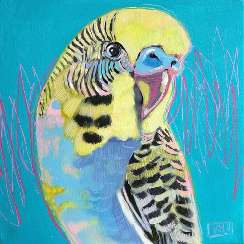 Parakeet - bird