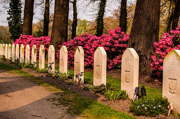 Airborne War Cemetery van Brian Morgan