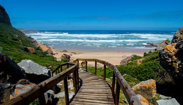 Robberg nature reserve by Filip Staes