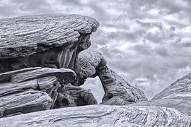Die feuerroten Felsformationen des Valley of Fire in Schwarz und Weiß