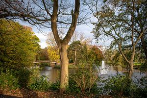 Anton van Duinkerkenpark Bergen op Zoom von Lars Mol