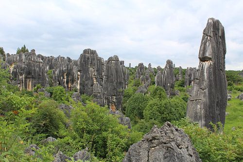 Stenen Woud Kunming China