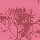 Abstracte botanische kunst. Organische vormen in roze en warm bruin. van Dina Dankers thumbnail