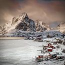 Shoreland XI by Frank Hoogeboom thumbnail