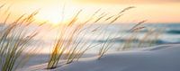 Beach Impressions No 36