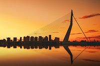 The Golden Erasmus Bridge