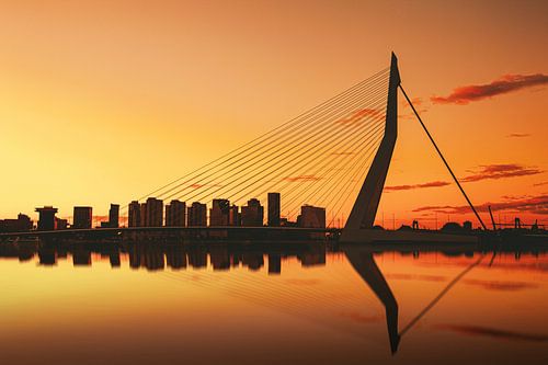 Le pont Erasmus doré