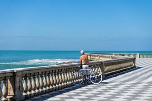 Mascagni-Terrasse in Livorno, Italien van Animaflora PicsStock