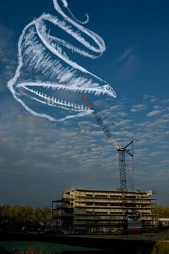 Zeedieren (Grootbekaal uit de diepzee) in de lucht - combinatie van een foto met illustratie van wit krijt van Irene Cecile