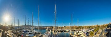 Panoramisch uitzicht op de jachthaven in het centrum van Palma de Mallorca, Spanje van Alex Winter
