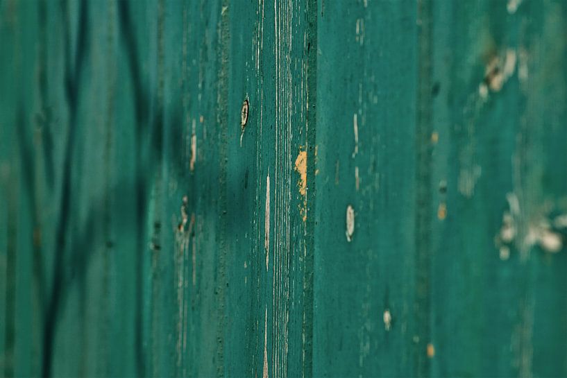 Green facade by Agnes Meijer