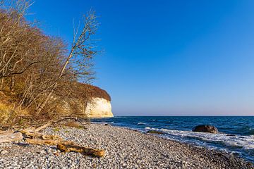 Kreidefelsen im Herbst an der Küste der Ostsee auf der Insel R von Rico Ködder