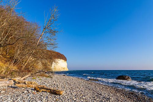 Chalk cliffs in autumn on the coast of the Baltic Sea on the island of R by Rico Ködder