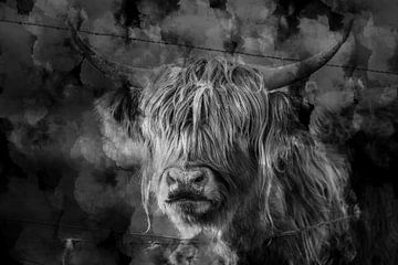 Art écossais highlander en noir et blanc