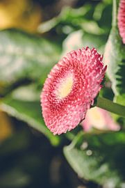 Rathenow „Stadt der Optik“ von David Krause