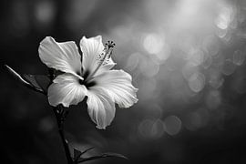Monochrome flower - the elegance of simplicity by Poster Art Shop