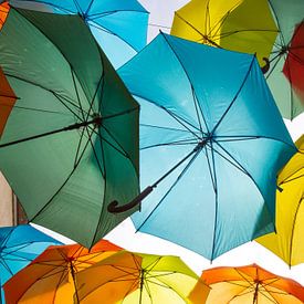 Paraplu's in kleur van Maria van Dort