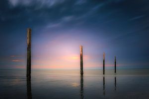 Stangen am Strand von Wim van D