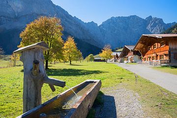 Eng alpenweiden en fonteinen in de Karwendel, Ahornboden Tirol