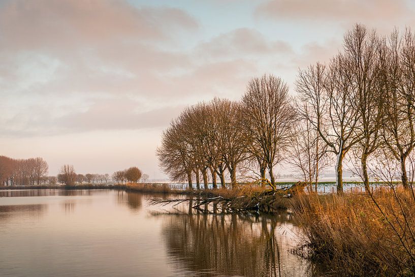 Klein meer met kale bomen aan de waterkant van Ruud Morijn