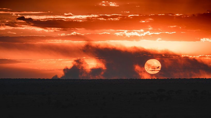 Coucher de soleil au Kenya par Andy Troy