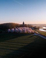 Blühende Niederlande