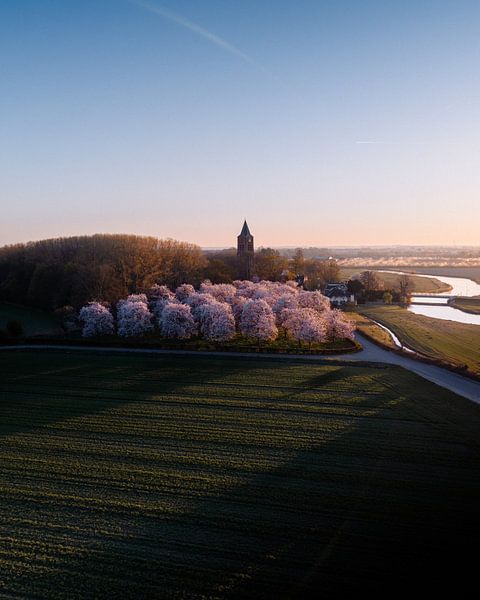 Netherlands in bloom by Ashwien Jurawan