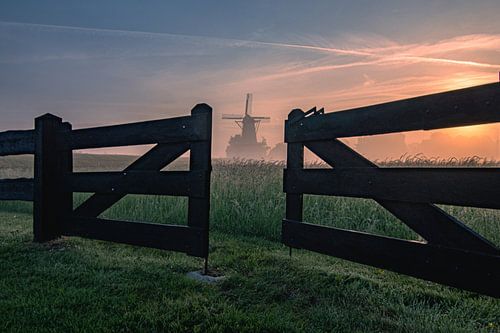 Mill the Butterfly at sunrise